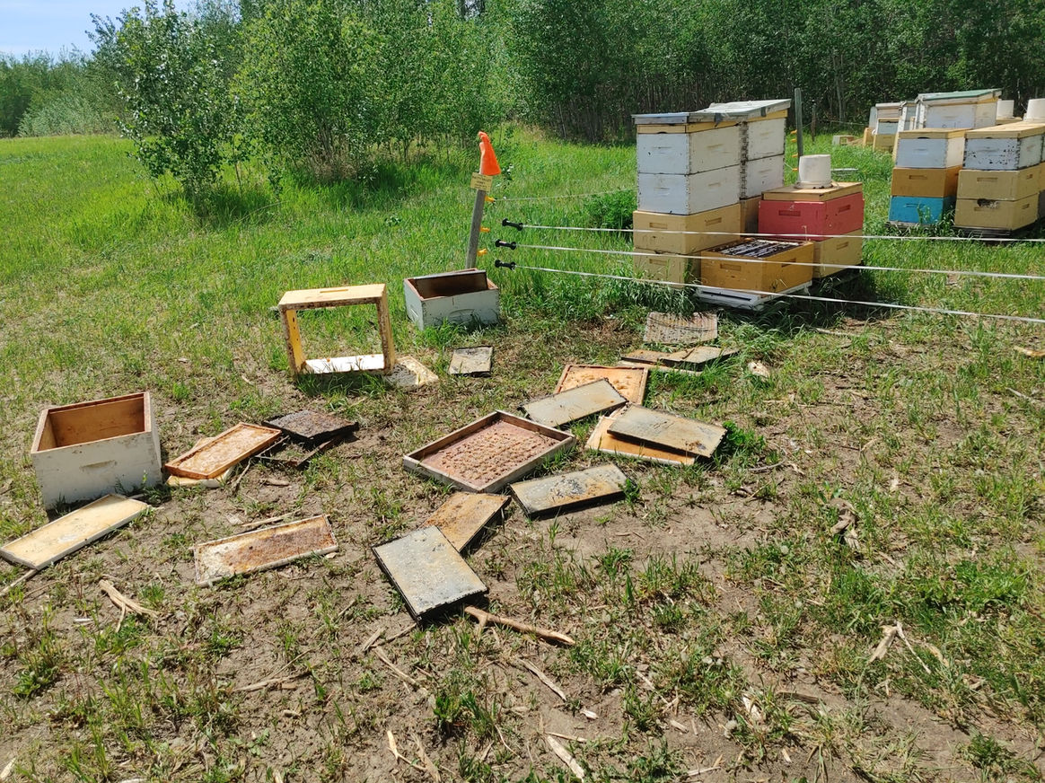 2021 Season photo 26